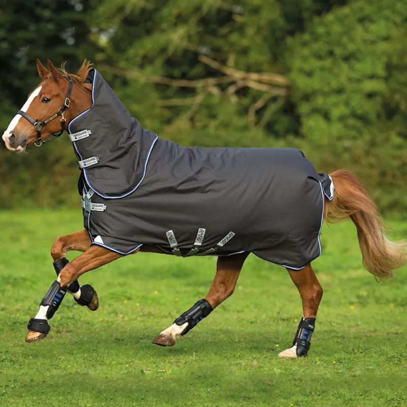 Amigo Bravo 12 Plus Medium Turnout - Disc in Excalibur with Blue and Black